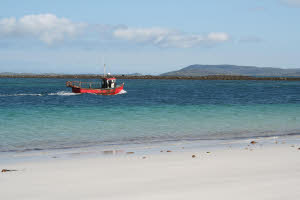 Berneray